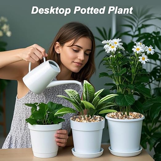 Landscaping Pebbles River Rocks Decorative Ornamental Pebbles Garden Landscaping Stones Gravel Filler for Home Decoration Flower Bed Fish Tank Plants Vases Succulents (1, Mixed Color, 1 Pound)