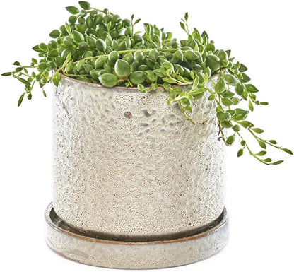 CHIVE ‘Minute’ Ceramic Planter Pot — Cute 5” Colorful Succulent Pots for Indoor & Outdoor House Plants — Beautiful Modern Farmhouse Kitchen Decor — Ivory Speckle