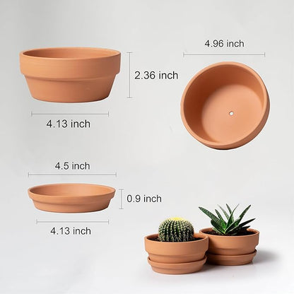 Shallow Terracotta Pots 5 inch, Pack of 6 Clay Pots for Plants with Drainage Holes and Saucers, Mini Nursery Plant Pots for Seed, Succulents, Cactus, Indoor,Outdoor