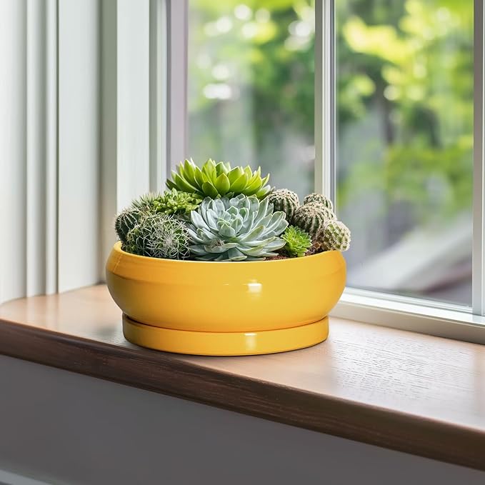 Succulent Pots 10 Inch - Ceramic Bonsai Pots with Drainage Hole and Tray, Shallow Plant Pot Indoor Outdoor, Modern Bonsai Tree Pot, Round Planter Bowl, Home Decor, Housewarming Gift, Yellow