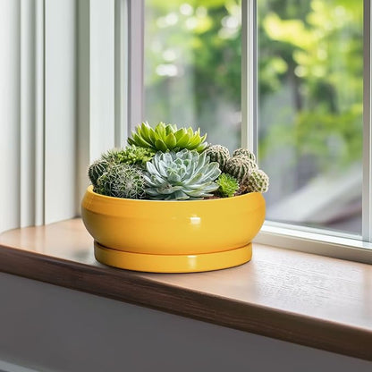 Succulent Pots 10 Inch - Ceramic Bonsai Pots with Drainage Hole and Tray, Shallow Plant Pot Indoor Outdoor, Modern Bonsai Tree Pot, Round Planter Bowl, Home Decor, Housewarming Gift, Yellow