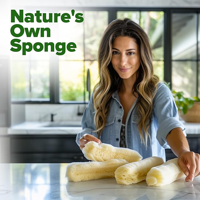 HOME GROWN 𝗨𝗦𝗔 𝗣𝗥𝗘𝗠𝗜𝗨𝗠 Luffa Seeds (Luffa aegyptiaca) 40 Heirloom 𝗡𝗢𝗡-𝗚𝗠𝗢 Loofah Gourd Seeds for Planting High Germination Rate - Make Sponges or Harvest Young Loofahs for Eating