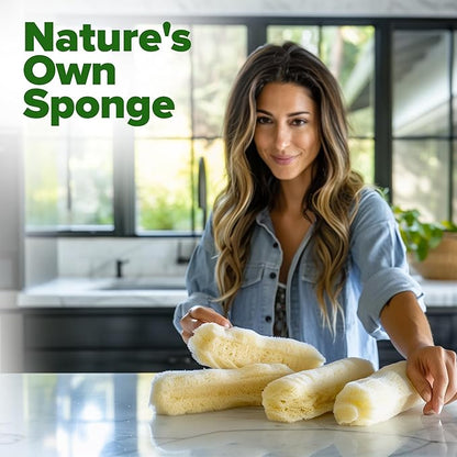 HOME GROWN 𝗨𝗦𝗔 𝗣𝗥𝗘𝗠𝗜𝗨𝗠 Luffa Seeds (Luffa aegyptiaca) 40 Heirloom 𝗡𝗢𝗡-𝗚𝗠𝗢 Loofah Gourd Seeds for Planting High Germination Rate - Make Sponges or Harvest Young Loofahs for Eating