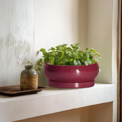 Succulent Pots - 8 Inch Bonsai Pots for Indoor Outdoor, Shallow Ceramic Planter with Drainage Hole and Saucer, Round Flower Succulent Planters, Apartment Decor, Gardening Gift, Red