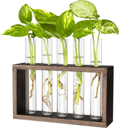 Ivolador Plant Propagation Station Terrariumin Wall Test Tube Vases Bud Tabletop Glass Wooden Stand with 5 Propagation Tubes for Propagating Hydroponic Plants Home Garden Wedding Decoration-Brown