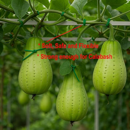 GiftExpress 32.8ft Garden Wire Soft Tie 32.8', Garden Plant Support for Tomatoes, Grapes, Vine Plants, Green House, Soft Twist Ties for Small Tree Against Wind