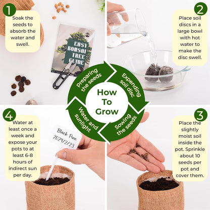 5 Types Bonsai Tree kit - Bonsai Starter Tools Set with Soil, Pots, Scissor, Plant Makers, Grow Tree Indoor, Beginner Plant Gifts for Home Garden, Women, Men