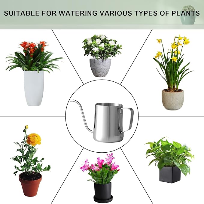 Small Watering Can for Indoor Plants, Mini Indoor Watering Can with Long Spout and Handle 12 Oz / 350 ml Rust-Proof 304 Stainless Steel Material