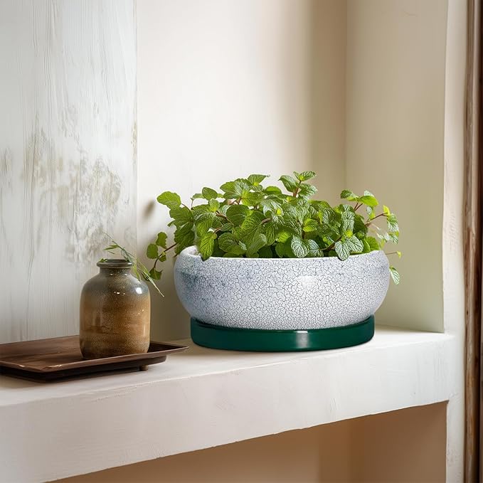 Bonsai Tree Pots - 8 Inch Ceramic Succulent Pot with Drainage Hole and Tray, Bonsai Pots, Shallow Planters for Indoor Outdoor, Round Planter Bowl, House Decor, Gifts for Plant Lovers, Green