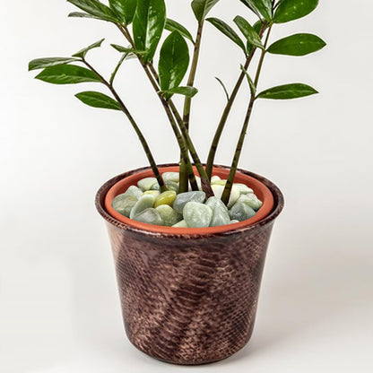 10 lbs River Rocks, 1-2 Inch Polished Pebbles for Indoor Plants, Decorative River Stones for Succulent, Landscaping, Vases, Backyard, Crafting and Garden