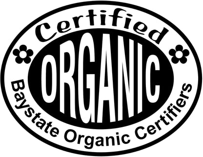 Amaranth, Hot Biscuits (Amaranthus cruentus) Organic Plant in 2.5-inch Pot by Smoke Camp Crafts - Eye-Catching Cut Flower