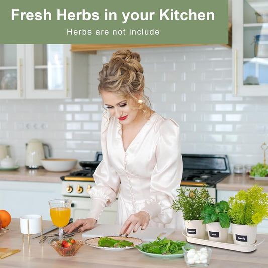 4" Herb Garden Planter Kit, Indoor Herb Planters with Tray, Set of 3 Metal Windowsill Pots for Flower Plants with Drainage Hole, Customizable Labels & Marker Pen, Beige