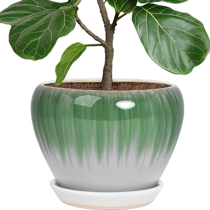 Deep Dream 10 Inch Plant Pot- Ceramic Planter Pot Round Plant Pots for Indoor Plants Outdoor Large Flower Pot with Drainage Holes & Trays, White&Green
