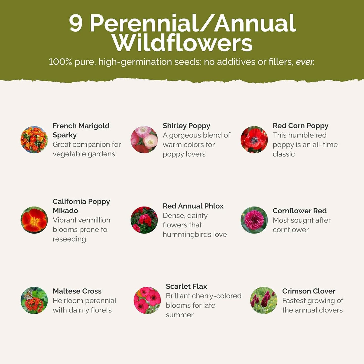 Eden Brothers Red Head Wildflower Mixed Seeds for Planting, 1 lb, 480,000+ Seeds with Maltese Cross, Scarlet Flax | Attracts Pollinators, Plant in Spring or Fall, Zones 3, 4, 5, 6, 7, 8, 9, 10