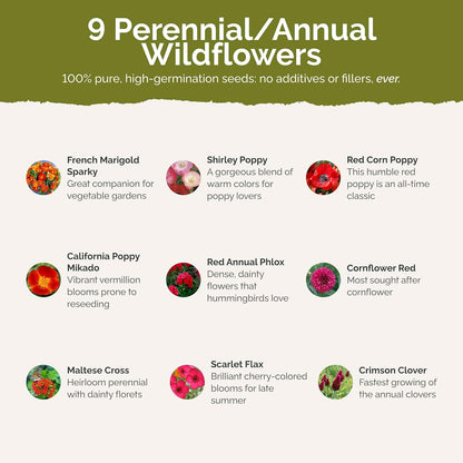 Eden Brothers Red Head Wildflower Mixed Seeds for Planting, 5 lb, 2,400,000+ Seeds with Maltese Cross, Scarlet Flax | Attracts Pollinators, Plant in Spring or Fall, Zones 3, 4, 5, 6, 7, 8, 9, 10