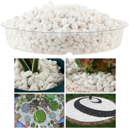 11 Lbs Natural River Rocks for Plants 0.3” Small Decorative Pebbles for Plant Pot Landscaping Garden Stones White Aquarium Gravel, Mini Vase Filler, Terrarium Rocks in Bulk, Home Decor