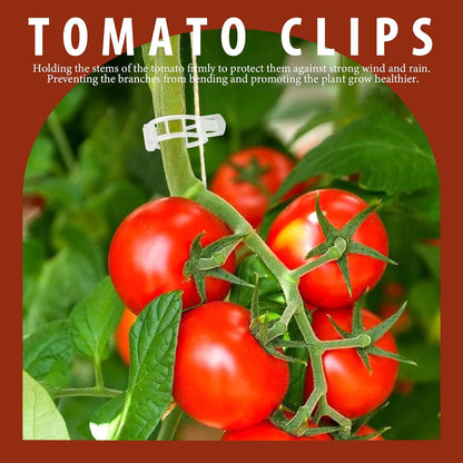 FANDAMEI 300 PCS Plant Support Clips, Plastic Garden Plant Ties, Tomato Clips Trellis for Tomato Cucumber Flower Squash Vine, 1” Inner Diameter for Climbing Plants