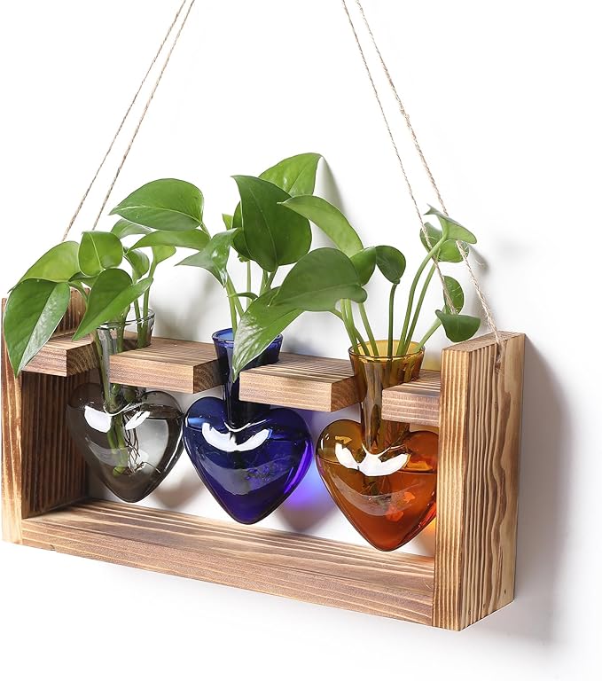 Plant Terrarium Propagation Stations Hydroponics Home Garden Decoration Gift for Women with Wooden Stand Heart Shaped Colored Glass Vase