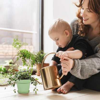 6 inch Plastic Nursery Pots, 16 Pack Plant Pots for Small Indoor Outdoor Plants, Flower Pots with Drainage Holes and Saucers, Decorative Seeding Starter Planters for Houseplants, Green