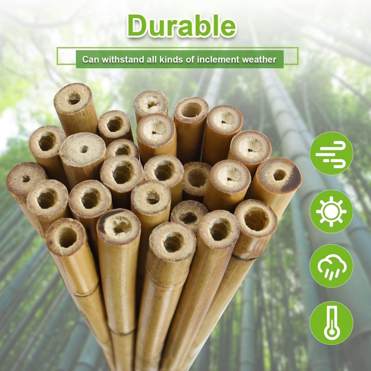 10pcs 1" D Thicker Heavy Duty Bamboo Stakes, 8FT Plant Stakes, Natural Garden Stakes for Tomato, Bean, Flowers,Trees Potted and Climbing Plant Support