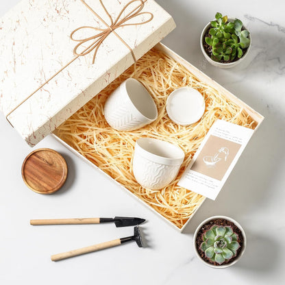 Sureasy Succulent Pots, 3.5 Inch Flower Pots for Indoor Plants, Small Plant Pots with Saucer & Drainage, Decorative Ceramic Planters for Succulent, Cactus, Set of 4, White