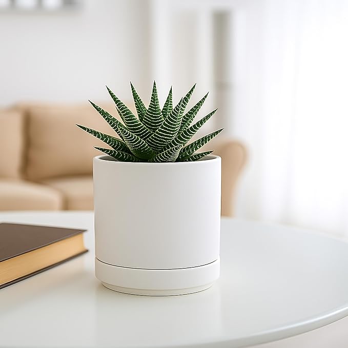 D'vine Dev Set of 2 Plants Pot, 4.7 Inch Ceramic Planter Pot for Plants with Drainage Hole and Saucer, White, 94-V-B-1