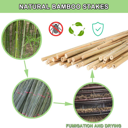 Bamboo Plant Stakes – 25pcs 4FT Natural Bamboo Garden Stakes for Tomatoes, Peppers, Beans, Indoor & Outdoor Plants, Sturdy Plant Support for Seedlings & Potted Plants