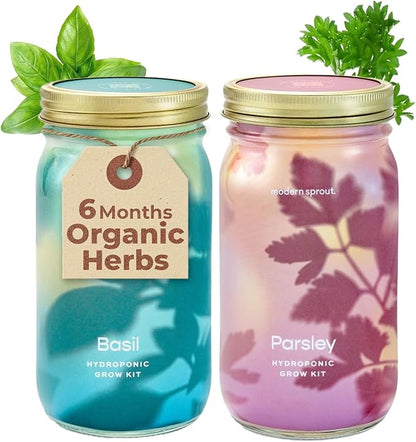 Modern Sprout Mason Garden Jar - Self-Watering Hydroponics Growing System Kit with Organic Herb Seeds - Jar Planter for Indoor Herb Garden - Seed Starter Kit - Home Decor & Gifting - Basil+Parsley