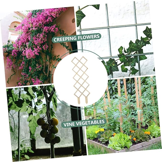 Wooden Climbing Plant Trellis for Indoor Gardens Honeycomb Support Frame Easy Assembly Plant Rack for Vines Orchids Tomatoes Indoor Climbing Vegetable Support