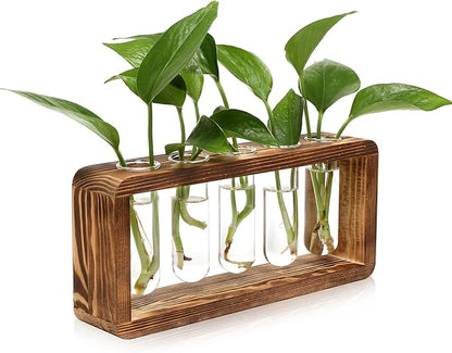Glass Plant Propagation Station with 5 Test Tubes Planter Vase with Wooden Stand Birthday Gifts for Women Mom Plant Lovers