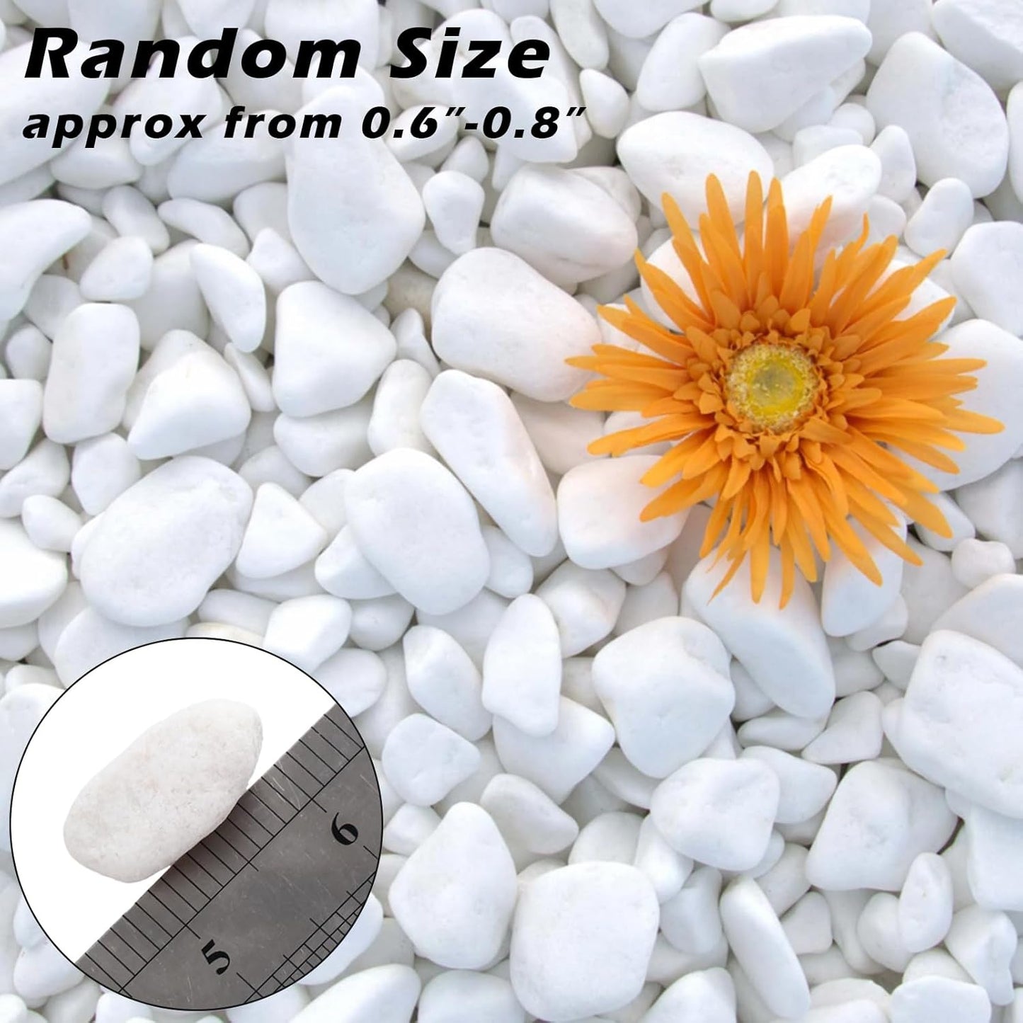 18.7 Lbs Natural River Rocks for Plants 0.6"-0.8" Small White Landscaping Garden Stones White Aquarium Gravel for Decorative Pebbles for Indoor Outdoor Planters