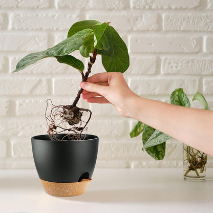 Indoor Pots For Plant Self Watering Plant Pots For Lazy People, 8/7.5/7/6.5/6/5.5/5 Inch,Black Plastic Self Watering Planter For All Houseplants,Succulent, African violets, Flowers And Cactus