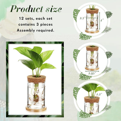 Baderke 12 Packs Propagation Vases for Plants Plastic Plant Propagation with Hole Lid and Bamboo Stand Growing in Water Hydroponic Home Office Desktop Vase Decoration(Classic Style)
