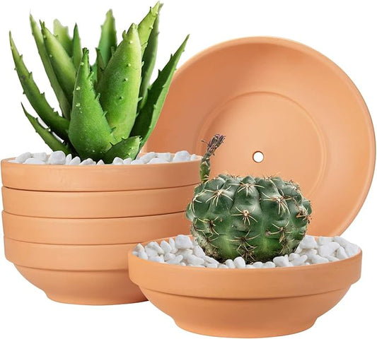 Laergin Terra Cotta Pots, 6.43 Inch Shallow Terracotta Clay Pots with Drain Hole Terra Cotta Plant Pot with Drainage Hole for Indoor/Outdoor Plants, 6 Pack