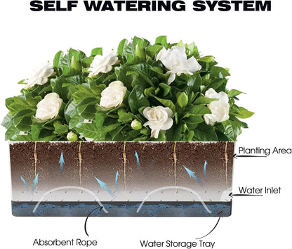 Self Watering Planters Pots for Indoor Plants, 2 Pack 17 Inch Plastic Planter Box Flower Pots for Indoor Outdoor Plants, Rectangle Herb Planter Window Boxes Planters with Drainage, Dark Gray Tray