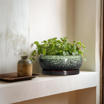 Bonsai Pots 8 Inch - Ceramic Succulent Pots with Drainage Hole and Saucer, Shallow Plant Pot for Indoor Outdoor, Bonsai Tree Pots, Round Planter Bowl, Home Decor, Gift for Plant Lover, Green