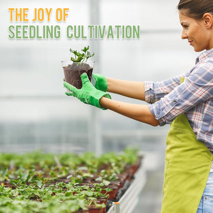 4 Inch Clear Nursery Pots, 8 Pack Highly Transparent Plant Pots for Small Indoor Plants with Drainage Holes and Trays, Plastic Seedling Starter Planters for Flowers