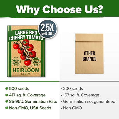 HOME GROWN Large Red Cherry Tomato Seeds Pack– 500 High Germination Heirloom Seeds – 𝗡𝗢𝗡-𝗚𝗠𝗢 𝗨𝗦𝗔 Vegetable Seeds for Garden,Homestead & Self-Sufficient Growing(Solanum lycopersicum)