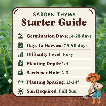 Seedboy Organic Thyme Seeds for Planting Indoor and Outdoor, Non-GMO and USDA Certified Herb Seed Packet for Hydroponic Garden Indoor or Planting Outdoors (Thyme)
