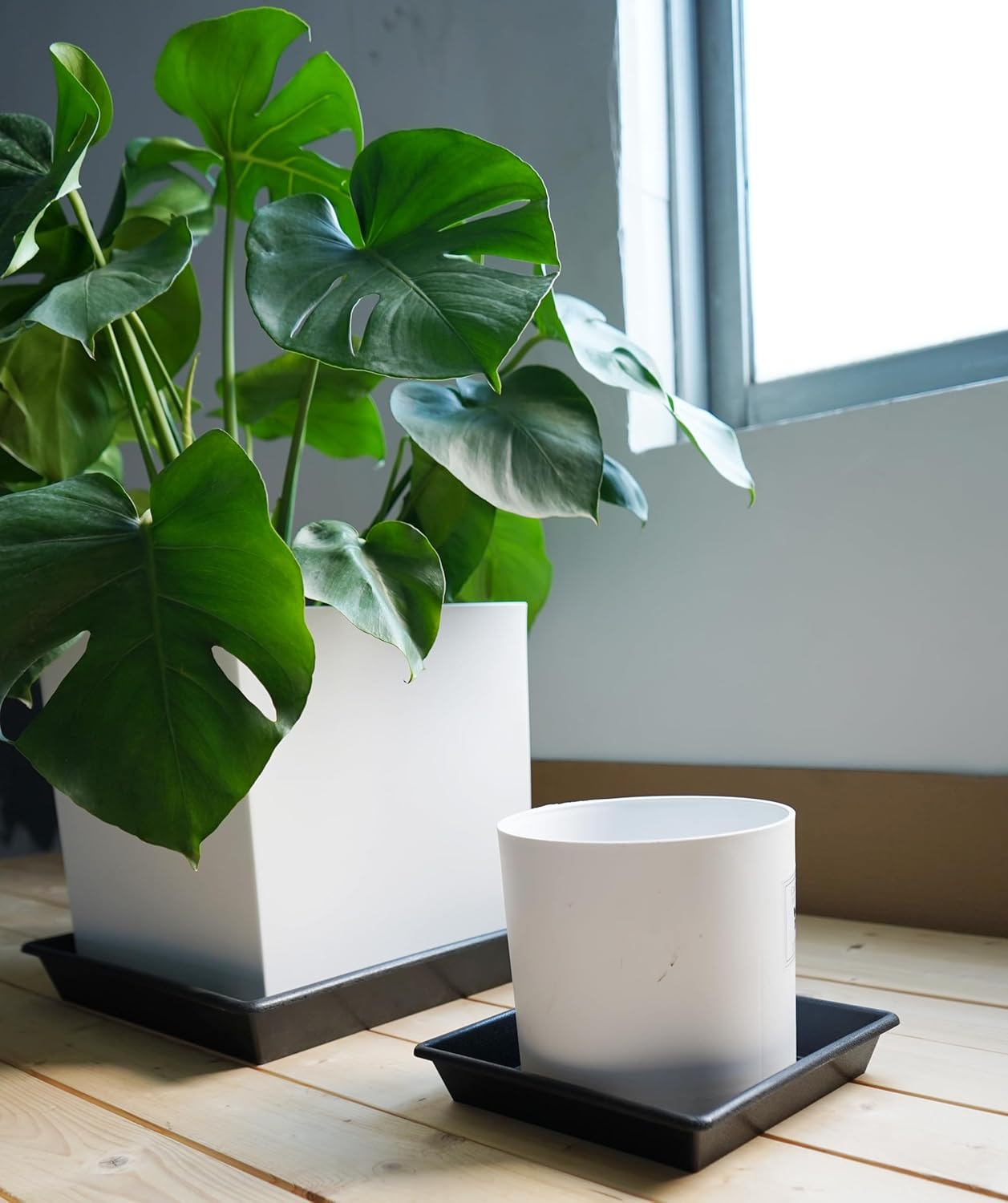 Square Plant Saucer 6 Inch 5 Pack6 8 12 14 16 18 20 Heavy Duty Plastic Plant Saucers for Indoors Outdoors, Plant Trays for Pots, Flower Pot No Holes Plant Drip Trays