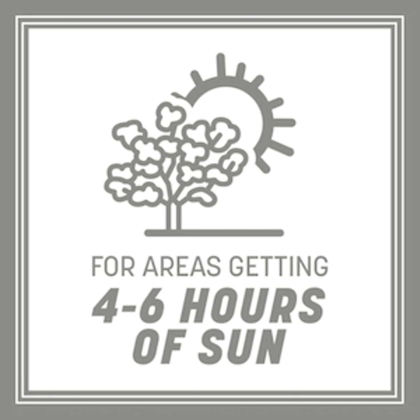 Pennington Contractors Grass Seed Mix Central 20 lb