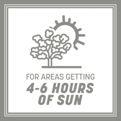 Pennington Contractors Grass Seed Mix Central 20 lb