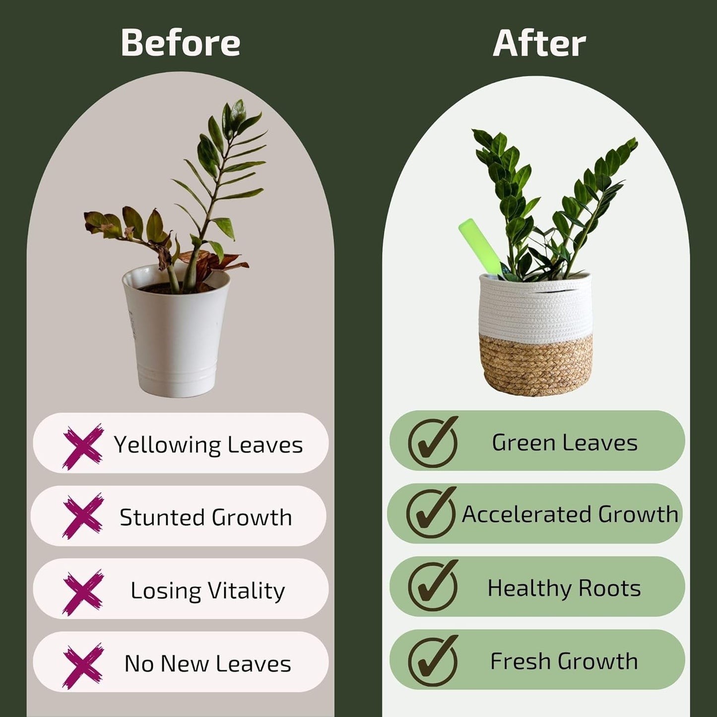 Plant Food for Houseplants | Ready-to-Use Indoor Plant Food Liquid, NPK Fertilizer & Plant Fertilizer Sticks (8 Drip Feeders)