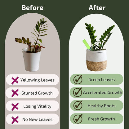 Plant Food for Houseplants | Ready-to-Use Indoor Plant Food Liquid, NPK Fertilizer & Plant Fertilizer Sticks (8 Drip Feeders)