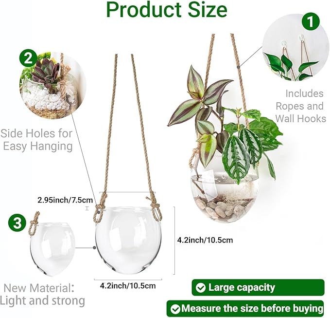 Propagation Station, Plants Terrarium, Plants Lover Gifts for Women,Plant Cutting Holder Home décor,Gifts for Women,House Warming New Home-2 Bowl Shape