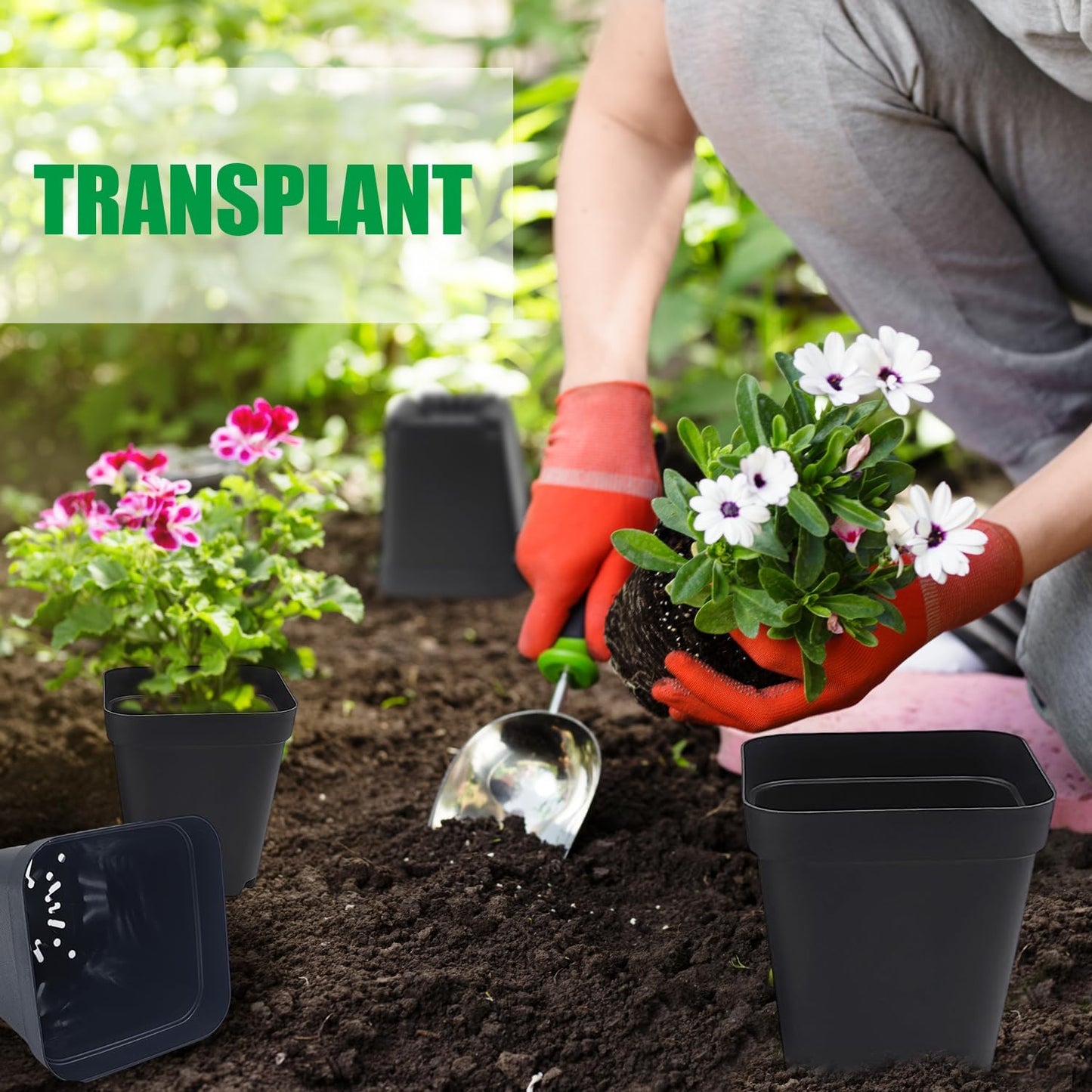 Square Nursery pots 4 Inches 60Pcs, Seedling Plastic Seeds propogation Growing Pots (Black,4Inches,60Pcs)