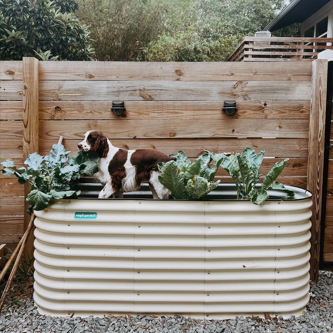 Vego garden 32" Extra Tall Raised Garden Bed Kits, 6 in 1 Modular Raised Planter Box for Vegetables Flowers Fruits Oval Metal Raised Garden Bed- Pearl White