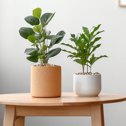 10 lbs Pebbles for Indoor Plants, Succulent Rocks, 3/8" Polished Pebbles for Bamboo, Vase, Terrarium, Natural Decorative Small River Rocks for Crafts, Cactus, Outdoor Garden Landscaping