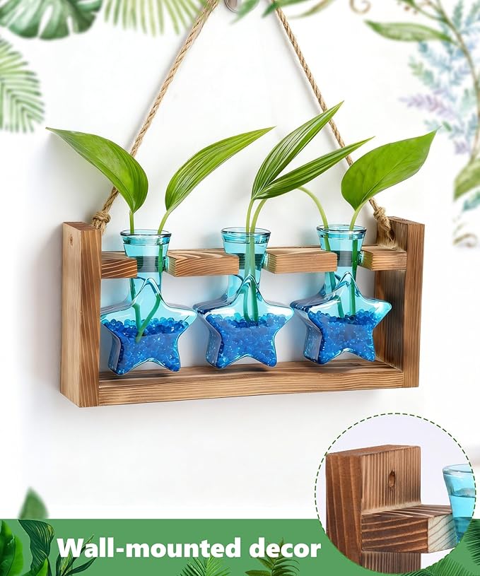 Nacome Star Glass Propagation Stations: Plant Terrarium with Wooden Stand Vase for Home Office Desk Decor, Unique Gifts for Plant Lovers Women Mom (Blue)