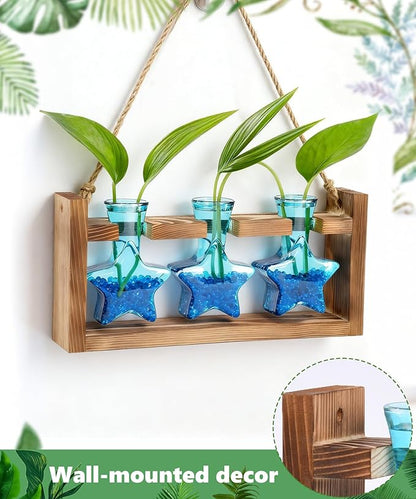Nacome Star Glass Propagation Stations: Plant Terrarium with Wooden Stand Vase for Home Office Desk Decor, Unique Gifts for Plant Lovers Women Mom (Blue)